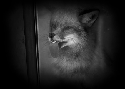 TPTFB :: A @surfingonmars JOINT